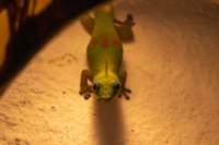madanord_26ago26_0736_small.jpg