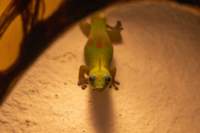 madanord_26ago26_0737_small.jpg