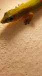 madanord_26ago26_0738a_small.jpg