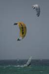 img_1113k_small.jpg