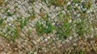 _molisetrek_mistericb_206i_small.jpg