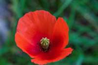_molisetrek_areemab_259_small.jpg