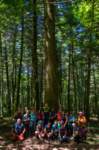 _molisetrek_areemab_264_small.jpg