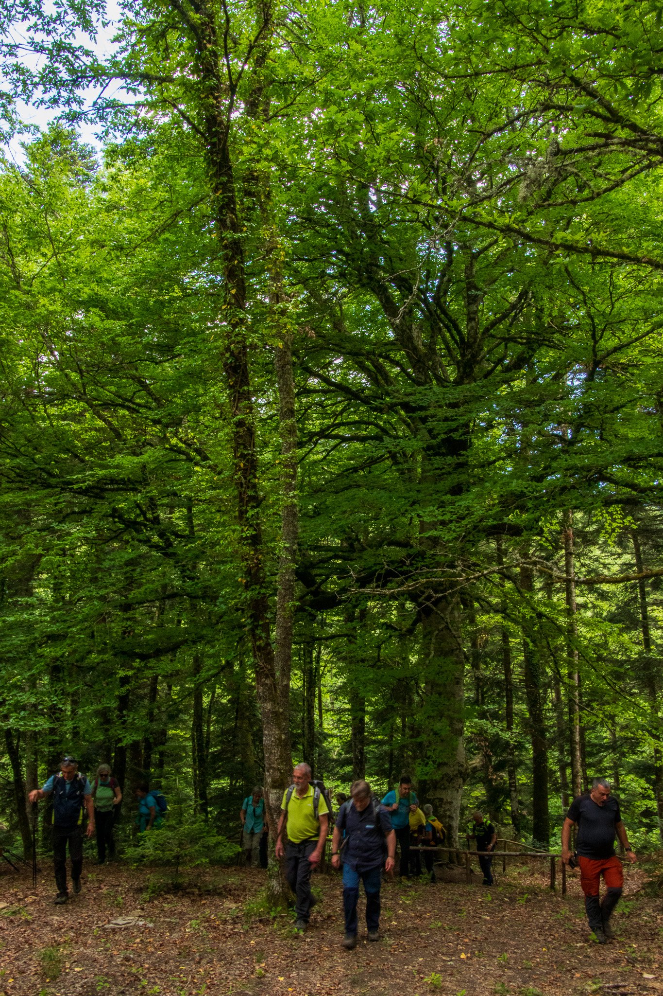 _molisetrek_areemab_266.jpg