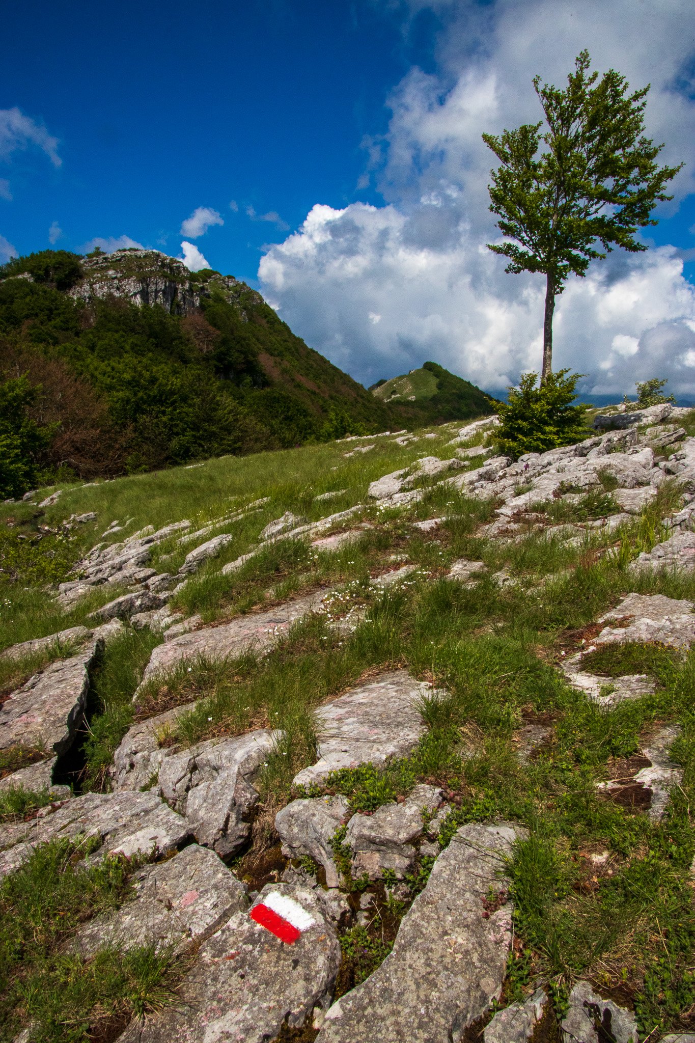 _molisetrek_montecampo_292.jpg