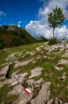 _molisetrek_montecampo_292_small.jpg