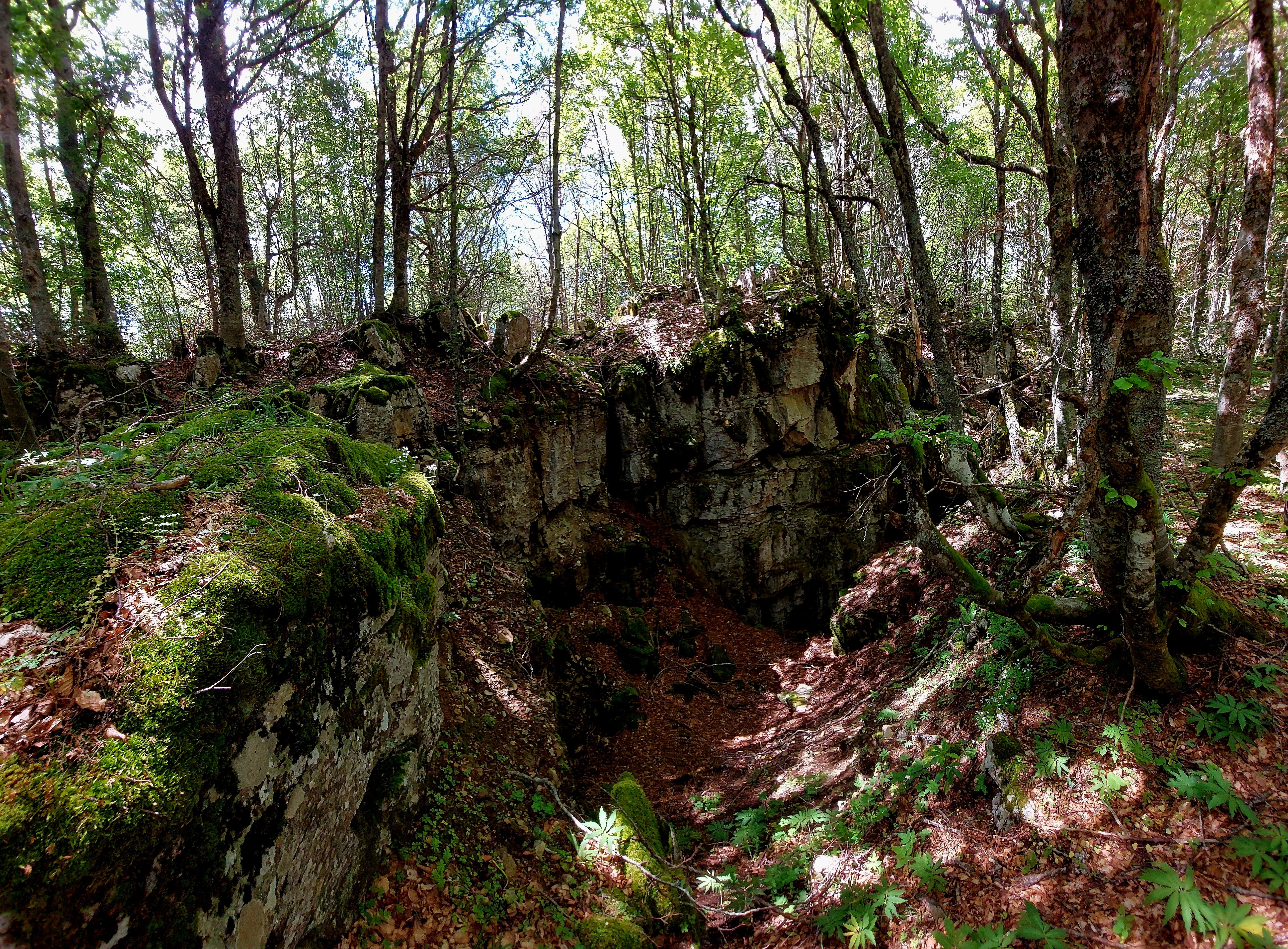 _molisetrek_montecampo_294a.jpg