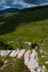 _molisetrek_montecampo_297_small.jpg