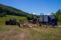_molisetrek_tratturo_307_small.jpg