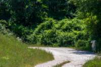 _molisetrek_tratturo_309_small.jpg