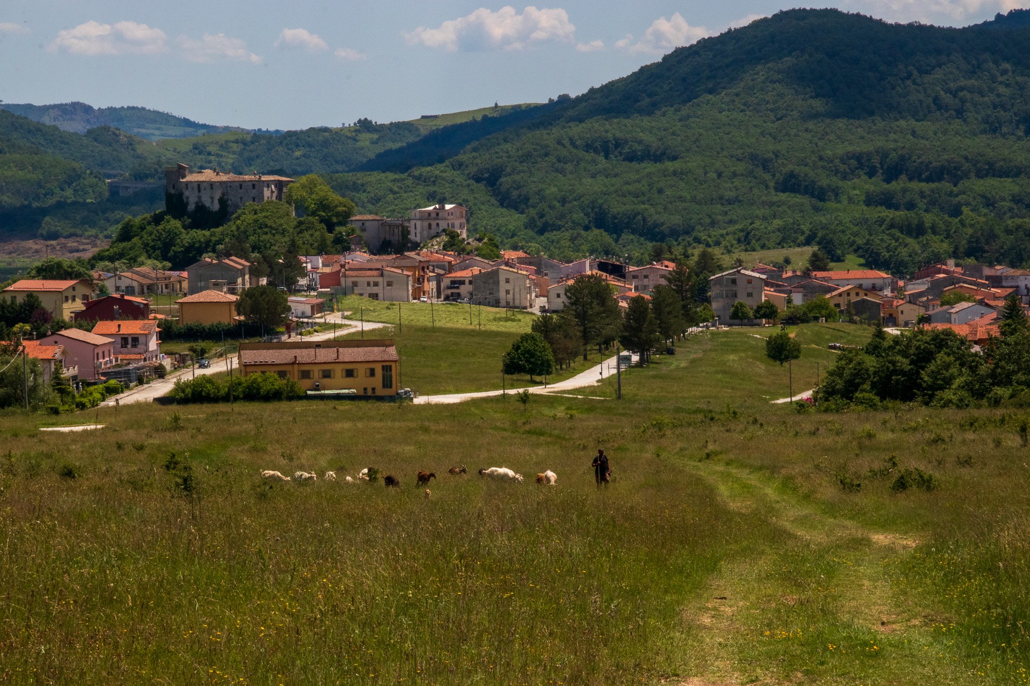 _molisetrek_tratturo_311.jpg