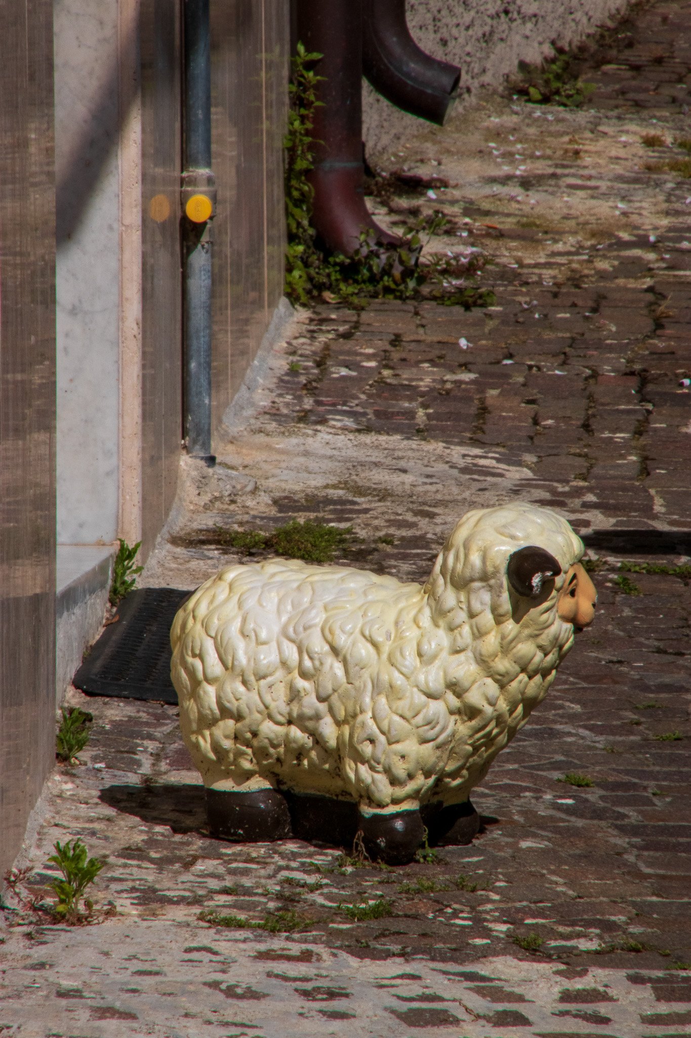 _molisetrek_pesche_336.jpg