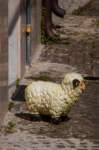 _molisetrek_pesche_336_small.jpg