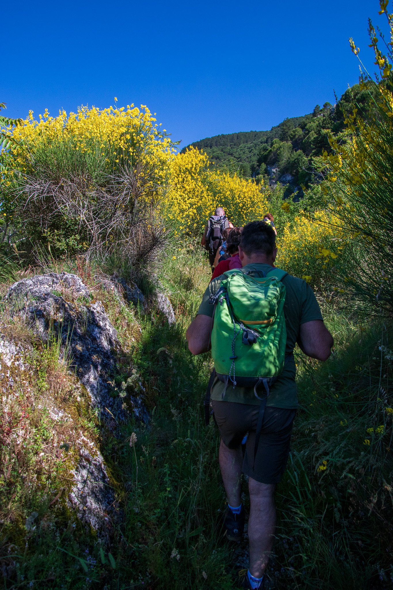 _molisetrek_pesche_346.jpg