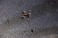 _molisetrek_pesche_361_small.jpg