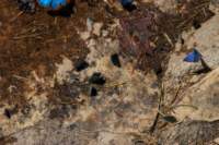 _molisetrek_pesche_368_small.jpg