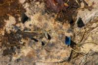 _molisetrek_pesche_369_small.jpg