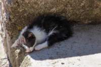 _molisetrek_pesche_372_small.jpg
