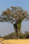nam220411_small.jpg