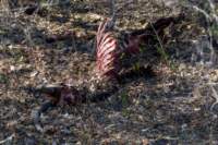 nam220413_small.jpg