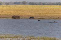 nam220504_small.jpg