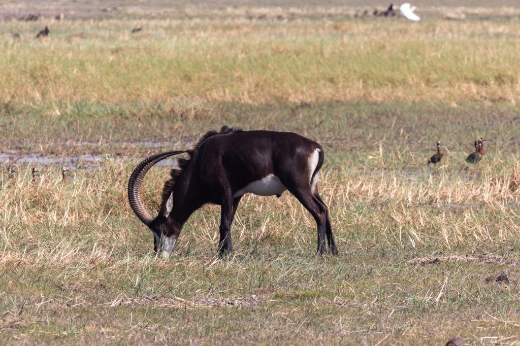 nam220528.jpg