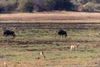 nam220568_small.jpg