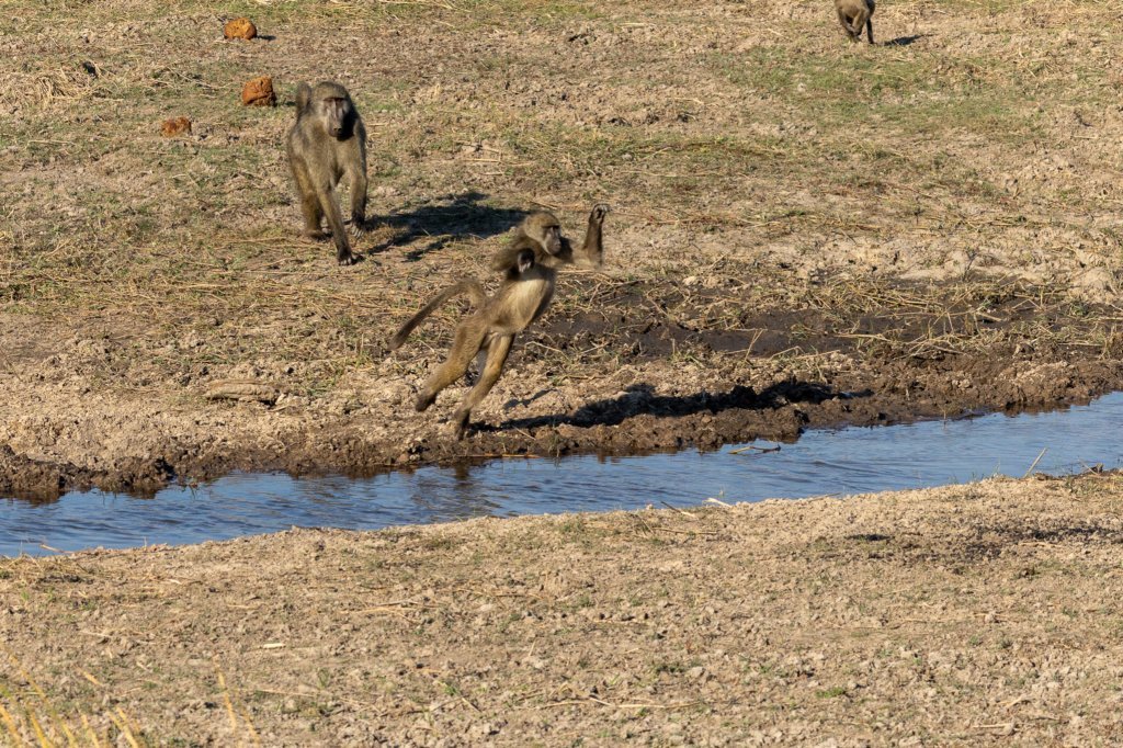nam220590.jpg