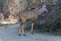 nam220598_small.jpg