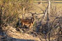 nam220616_small.jpg