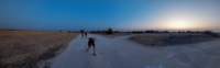 nam220845d_small.jpg