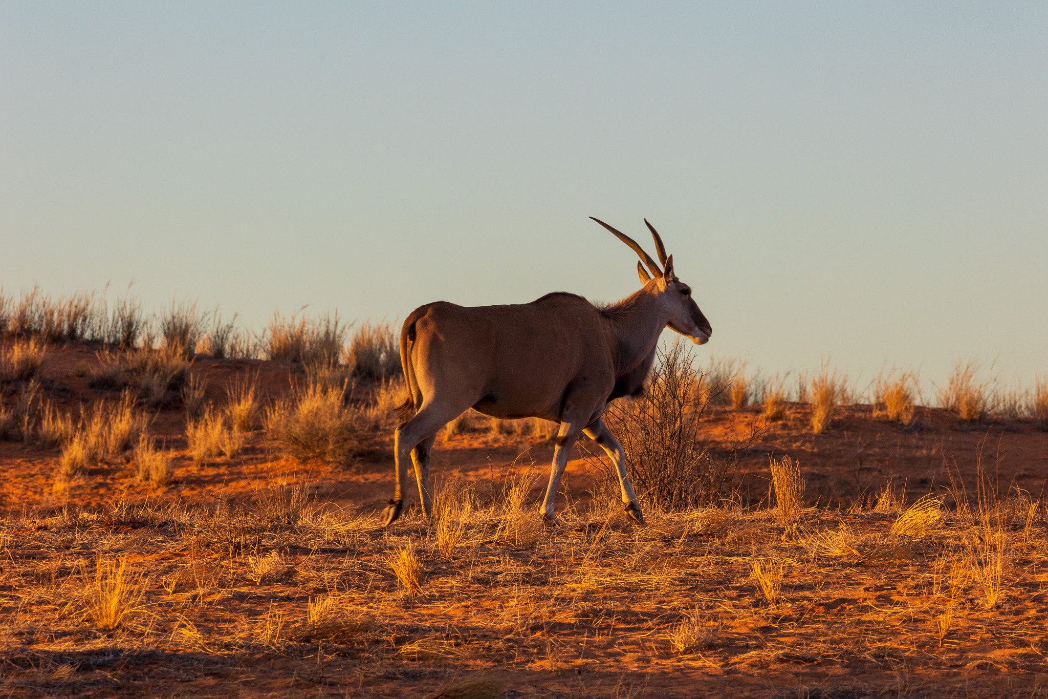 _namibia23ago2510.jpg