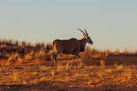_namibia23ago2510_small.jpg