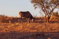 _namibia23ago2511_small.jpg