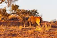 _namibia23ago2512_small.jpg