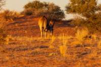 _namibia23ago2513_small.jpg