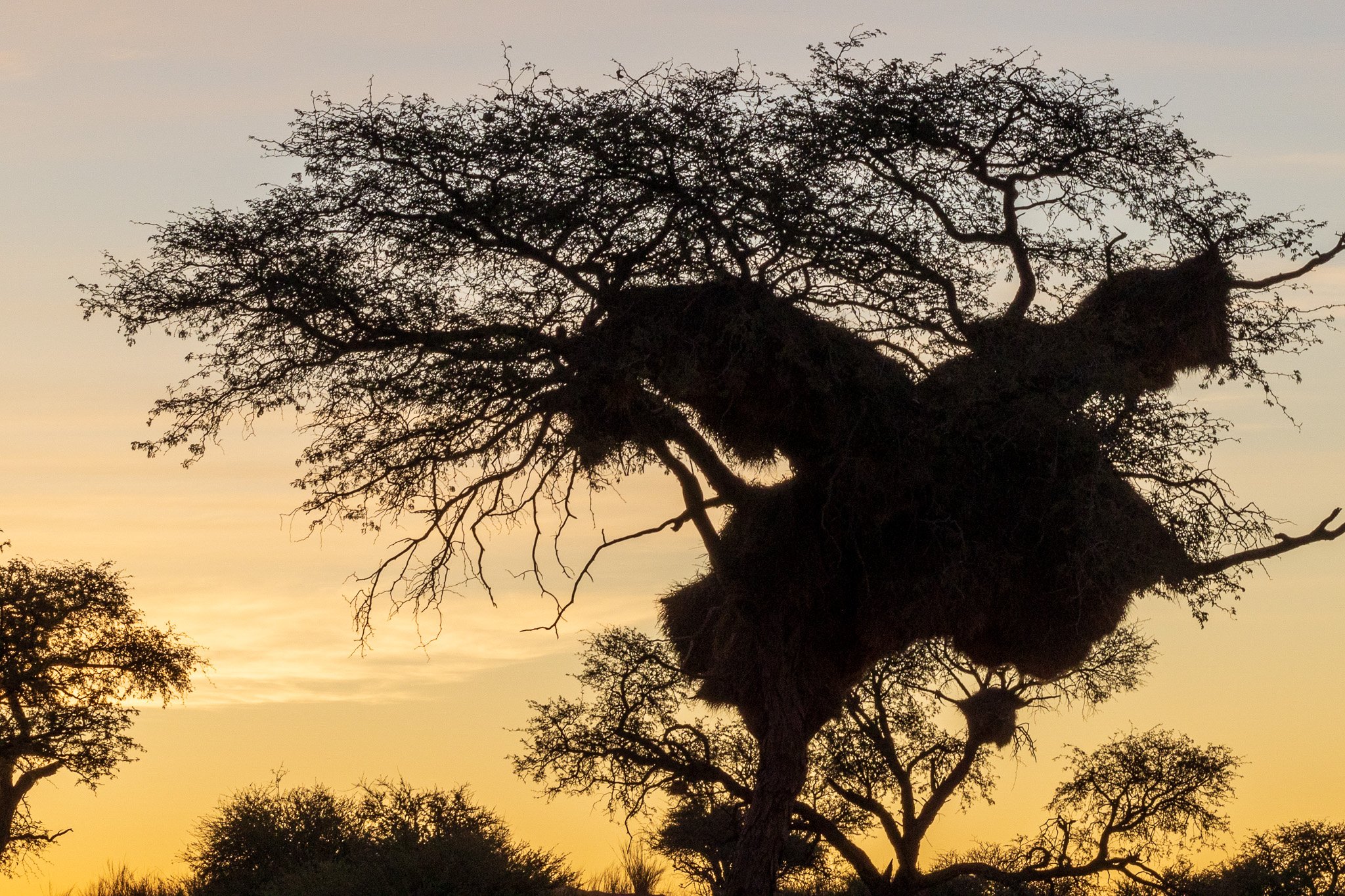 _namibia23ago2515.jpg