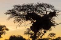 _namibia23ago2515_small.jpg