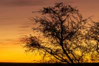 _namibia23ago2516_small.jpg