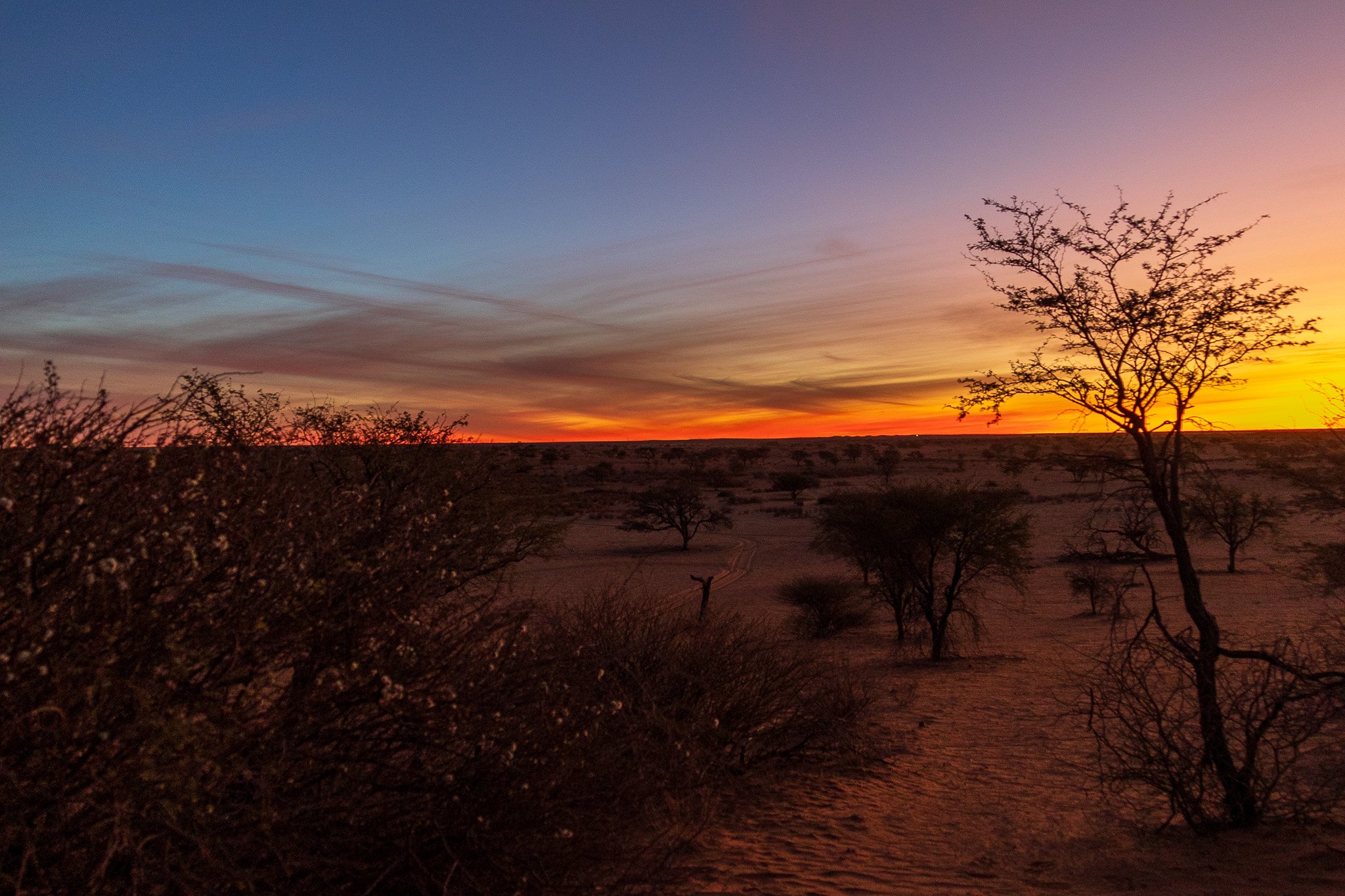 _namibia23ago2518.jpg