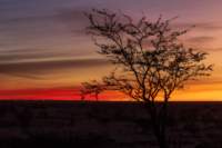 _namibia23ago2519_small.jpg