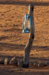 _namibia23ago255_small.jpg