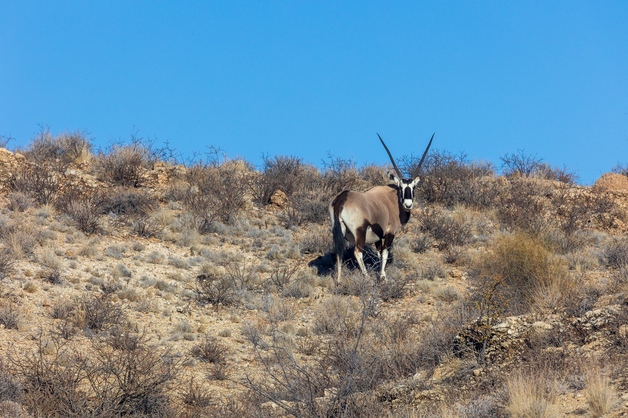 _namibia23ago27.jpg