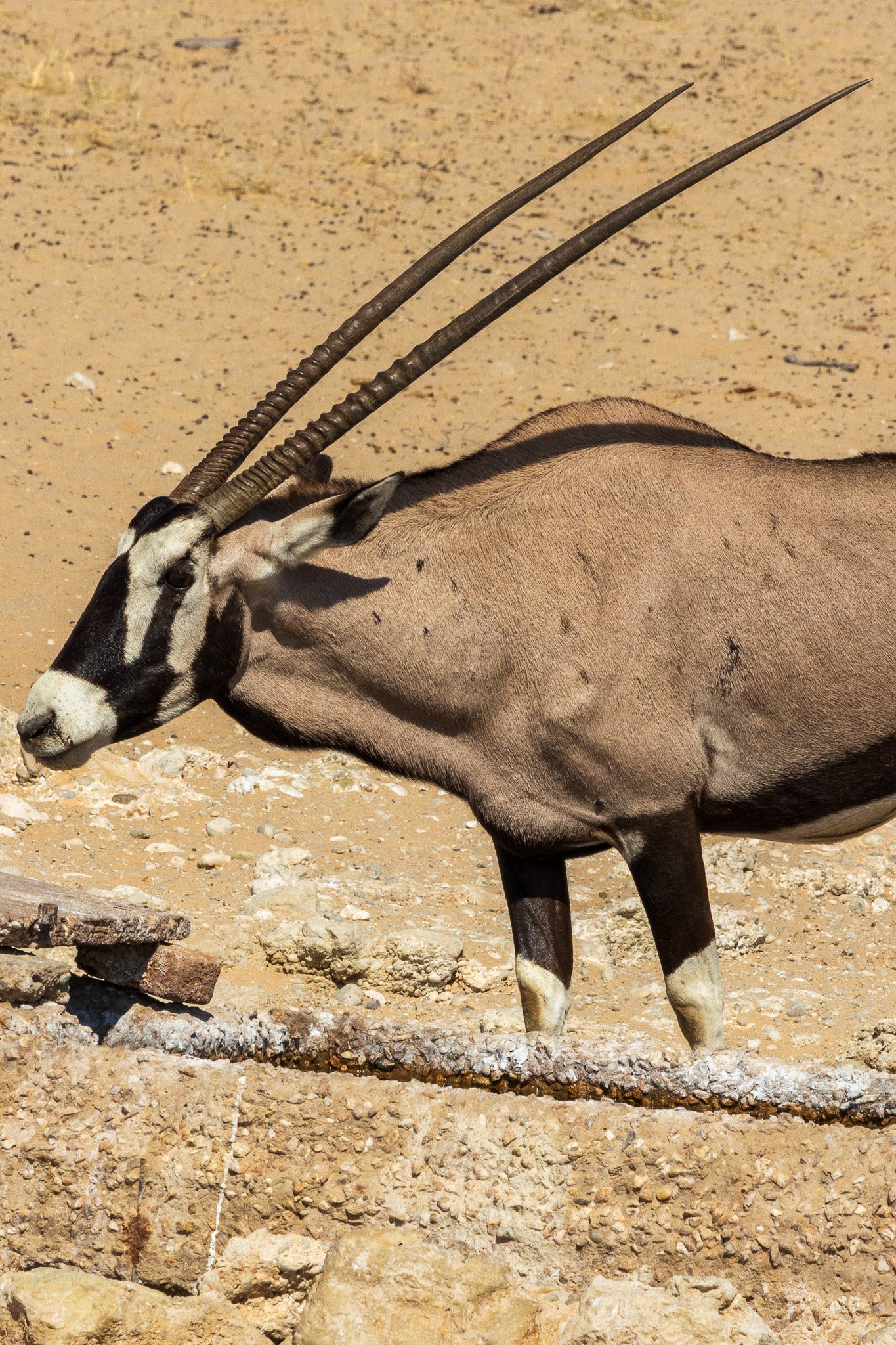 _namibia23ago27100.jpg