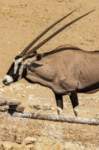 _namibia23ago27100_small.jpg