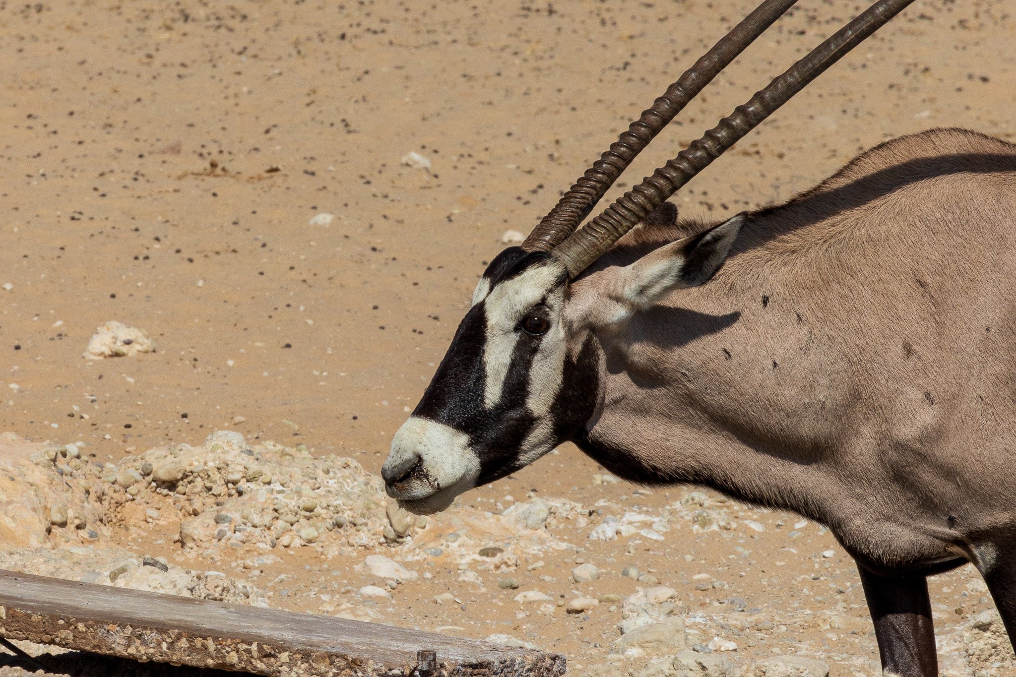 _namibia23ago27101.jpg