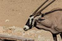 _namibia23ago27101_small.jpg