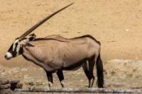 _namibia23ago27102_small.jpg