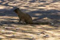 _namibia23ago27103_small.jpg