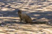 _namibia23ago27104_small.jpg